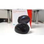 Microsoft Sculpt Ergonomic Mouse L6V-00005 Black USB обзоры