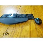 Microsoft Sculpt Ergonomic Mouse L6V-00005 Black USB