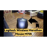 Logitech Marathon Mouse M705 Black USB