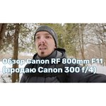 Объектив Canon RF 800mm f/11 IS STM обзоры