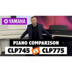 Цифровое пианино YAMAHA CLP-745