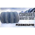 Автомобильная шина Cordiant Winter Drive 2 зимняя