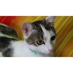 Робот-пылесос REDMOND RV-R650S