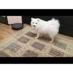 Робот-пылесос REDMOND RV-R650S