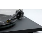 Виниловый проигрыватель Rega Planar 6 (Exact)