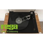 Виниловый проигрыватель Rega Planar 6 (Exact)