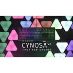 Игровая клавиатура Razer Cynosa V2 Black