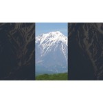 Видеокамера Panasonic HC-X2000