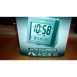 Часы с термометром CASIO DQ-750