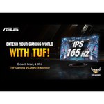 Монитор ASUS TUF Gaming VG249Q1R 23.8"