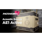 Полочная акустическая система Acoustic Energy AE1 Active