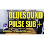 Сабвуфер Bluesound PULSE SUB+