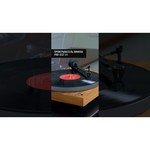 Виниловый проигрыватель Pro-Ject X1