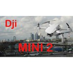 Квадрокоптер DJI Mini 2 Fly More Combo