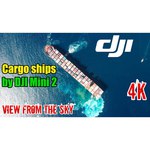 Квадрокоптер DJI Mini 2 Fly More Combo