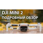 Квадрокоптер DJI Mini 2
