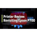 Внешний SSD HP P700 512GB (5MS29AA) 512 ГБ