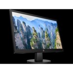 Монитор HP V22 (9SV80AA) 22" обзоры