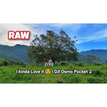 Экшн-камера DJI Pocket 2 Creator Combo