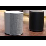 Портативная акустика Bang & Olufsen Beosound A1 2nd Gen
