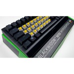 Игровая клавиатура Razer BlackWidow V3 (Green Switch) Black USB