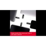 Флешка SanDisk Ultra Dual Drive Go USB Type-C