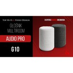 Умная колонка Audio Pro G10
