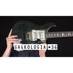 Электрогитара PRS 35TH ANNIVERSARY CUSTOM 24