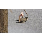 Фотоаппарат Canon PowerShot Zoom