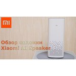 Умная колонка Xiaomi Mi AI Speaker HD Art