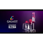 GALAXY Кухонный комбайн Galaxy GL 2304