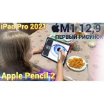 Планшет Apple iPad Pro 12.9 2021 256Gb Wi-Fi