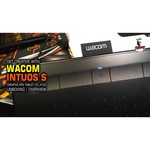 Графический планшет WACOM Intuos S Bluetooth (CTL-4100WLK-N/CTL-4100WLE-N) + курс Старт в CG с Wacom