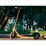 Электросамокат Xiaomi Mi Electric Scooter 1S, black