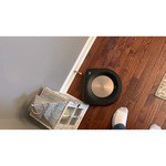 iRobot Робот-пылесос IRobot Roomba S9+