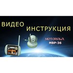 Видеоняня Motorola MBP36XL