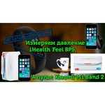 Термометр Xiaomi Mi iHealth White (40018)