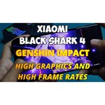 Смартфон Black Shark 4 8/128GB