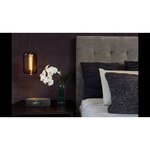 Умная колонка Harman/Kardon Citation Oasis