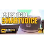 Умная колонка Prestigio Smartvoice + интеллектуальная розетка Power Link