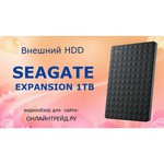 Внешний HDD Seagate Expansion (STEA)