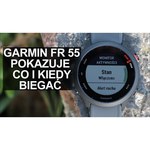 Видеорегистратор Garmin DashCam Mini 2