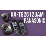 Радиотелефон Panasonic KX-TG2511 Платиновый