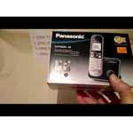 Радиотелефон Panasonic KX-TG6811 Серый