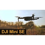 Квадрокоптер DJI Mini SE