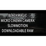 Blackmagic Design Кинокамера Blackmagic Micro Cinema Camera