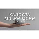 Умная колонка Mail.ru Group Капсула мини