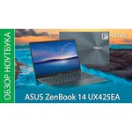 Ноутбук ASUS UX425EA-KI367 +cable 90NB0SM1-M11850
