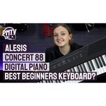 Цифровое фортепиано Alesis Concert