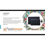 WACOM Графический планшет Wacom Intuos Pro Medium PTH-660-R